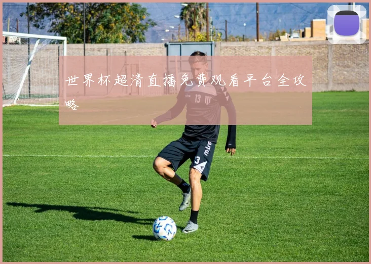 世界杯超清直播免费观看平台全攻略