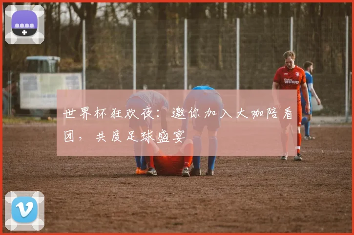 世界杯狂欢夜：邀你加入大咖陪看团，共度足球盛宴