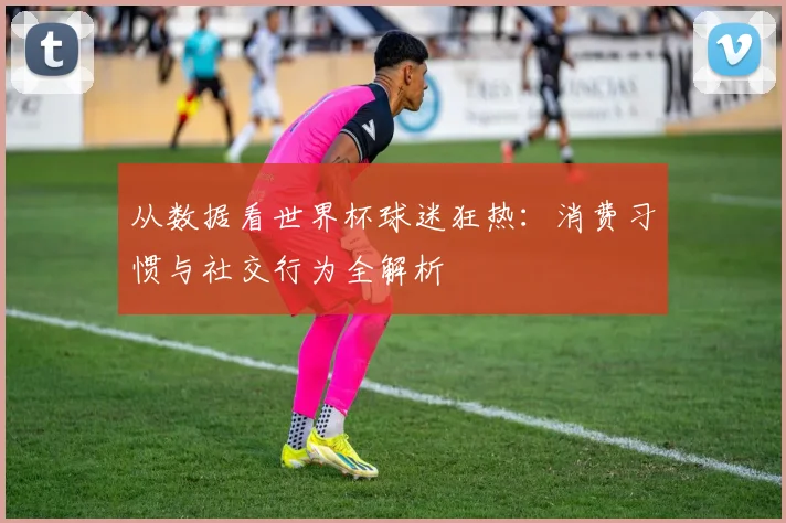 从数据看世界杯球迷狂热:消费习惯与社交行为全解析