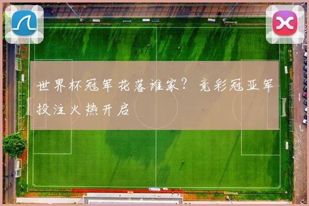 世界杯冠军花落谁家?竞彩冠亚军投注火热开启