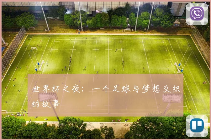 世界杯之夜:一个足球与梦想交织的故事