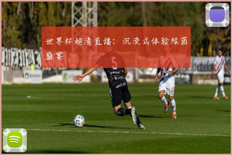世界杯超清直播:沉浸式体验绿茵盛宴