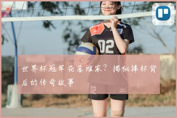 世界杯冠军花落谁家?揭秘捧杯背后的传奇故事