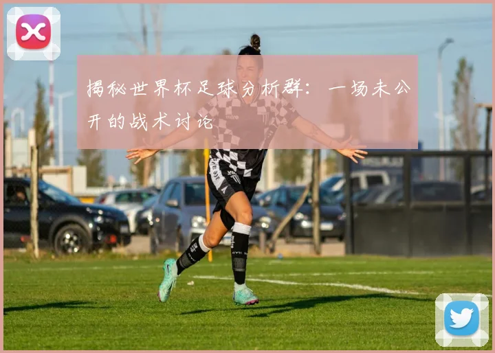 揭秘世界杯足球分析群：一场未公开的战术讨论