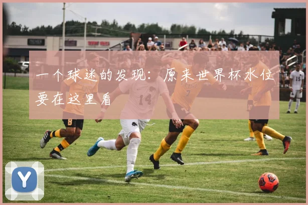 一个球迷的发现：原来世界杯水位要在这里看