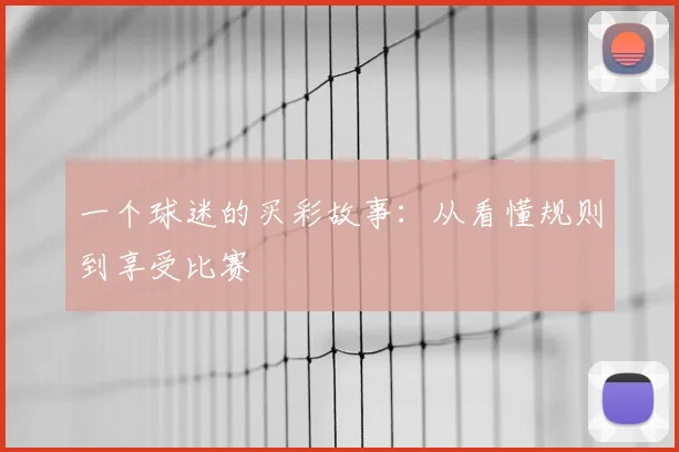 一个球迷的买彩故事：从看懂规则到享受比赛