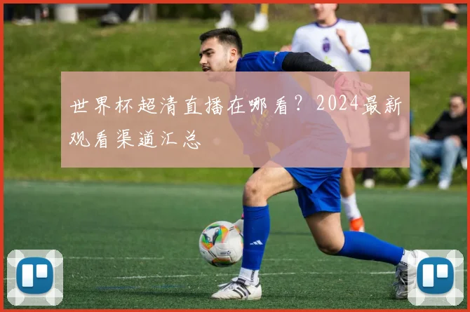 世界杯超清直播在哪看？2024最新观看渠道汇总